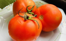 Bác sĩ chỉ ra những lợi ích tuyệt vời của cà chua