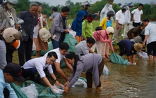 Người dân vùng cao thả cá 'tri ân' dòng sông A Sáp