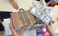 Giá USD hôm nay 25.5.2024: Tăng kịch trần