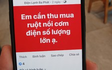 Thực hư trào lưu mua 'ruột nồi cơm điện'