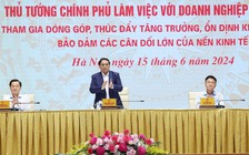 Hỗ trợ các doanh nghiệp 'đầu đàn', thúc đẩy động lực tăng trưởng mới