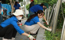 Hàng trăm thanh niên tham gia 'đánh bại ô nhiễm nhựa'