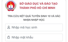 TP.HCM: Thí sinh xác nhận nhập học lớp 10 chuyên, tích hợp trực tuyến