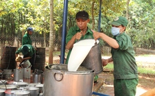 VRG nghiên cứu lập sàn giao dịch cao su, mua bán trực tuyến