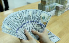 Giá USD hôm nay 30.6.2024: Tiếp đà tăng trong khi euro đi xuống