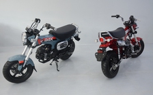 Honda Dax 125 Trail Sport bản sản xuất giới hạn 100 chiếc về Việt Nam