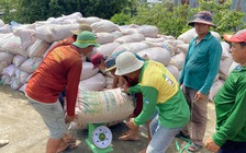 Gạo Việt Nam vẫn 'vô đối' tại Philippines