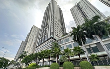 Thu thuế từ đất tăng vọt, thị trường vẫn chưa ấm