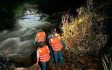 Giải cứu 5 thanh niên mắc kẹt giữa sông Đồng Nai