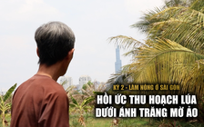 Vui buồn 'bám đất' giữa thị thành: Hồi ức thu hoạch lúa dưới ánh trăng - Làm nông ở Sài Gòn, kỳ 2