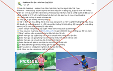 Cảnh báo các trang lừa đảo, fanpage giả mạo giải Pickleball Thanh Niên 2024 - Cúp VINFAST