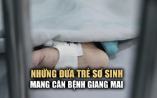 Xuất hiện nhiều ca mắc giang mai ở trẻ sơ sinh