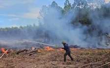 Cháy rừng liên tục, chủ rừng đề nghị làm rõ nghi vấn 'có người đốt'