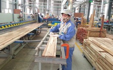 Thu hơn 8,1 tỉ USD, gỗ Việt còn đón tin vui từ Mỹ