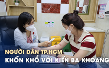 Người dân TP.HCM lại đau đầu với kiến ba khoang