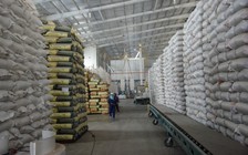 Giá gạo Việt lên gần 1.000 USD/tấn