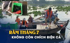 Chích điện cá đã thôi hoành hành dịp rằm tháng 7 trước chùa Diệu Pháp