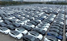 EU giảm thuế cho xe Tesla sản xuất tại Trung Quốc