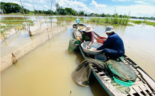 Nhiều bất ngờ về nhịp lũ sông Mekong đầu mùa