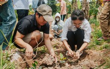 Vượt trăm cây số lên vùng núi Quảng Trị cùng nông dân trải nghiệm trồng cà phê