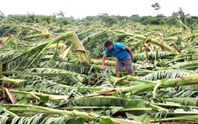 Doanh nghiệp nào sẽ được khoanh nợ, giảm lãi vay sau bão Yagi?