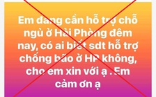 Hải Phòng bác thông tin 'công nhân bị công ty bắt về khi bão đổ bộ'