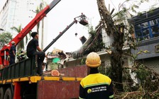 ‘Lính đặc nhiệm’ TP.HCM bay ra Hải Phòng hỗ trợ khắc phục hậu quả bão số 3