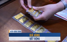 Biến động vàng ngày 18.9: Giá vàng bất động