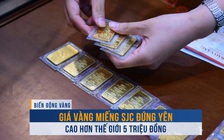 Biến động vàng ngày 6.9: Giá vàng miếng SJC đứng yên, cao hơn thế giới 5 triệu