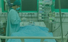 Can thiệp ECMO, lọc máu cứu bé gái sốc tim khi đang du lịch Việt Nam