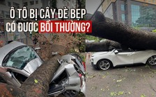 Cây đè bẹp ô tô sau bão Yagi: Chủ xe có được bồi thường?