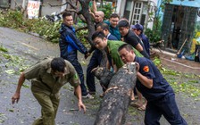 TP.HCM cử 48 nhân viên cây xanh hỗ trợ Hà Nội, Hải Phòng khắc phục bão Yagi