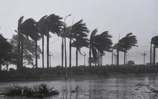 Vì sao bão Yagi càn quét miền Bắc trong vòng 12 tiếng?