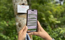 Điểm du lịch đầu tiên ở Bà Rịa - Vũng Tàu được trao chứng nhận trung hòa carbon