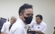 Chiếm đoạt 80 tỉ của Chủ tịch Tân Hoàng Minh, cựu vụ trưởng lãnh án chung thân