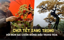 Chơi tết sang trọng với bon sai cuốn đồng kiểu Trung Hoa: Có cây giá vài chục triệu