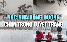 Tuyết phủ trắng rừng tại Fansipan những ngày cận Tết