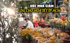 Chợ hoa xuân tại TP.HCM: Tiểu thương chọn hạ giá nhưng sức mua vẫn giảm