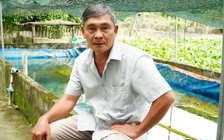 Làm giàu từ mô hình nuôi ba ba kết hợp trồng lúa và sầu riêng