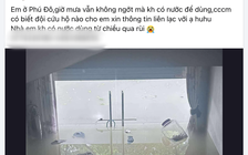 'Cố thủ' vì ngập lụt, dân Phú Đô lên mạng xã hội 'cầu cứu'