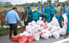 Vỡ bờ sông Vinh, hàng trăm người ứng cứu