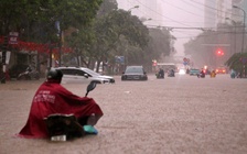 'Hà Nội cần điều chỉnh ngay dự án thoát nước mặt đường'