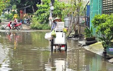 Đường số 2 xã Tân Vĩnh Lộc, dân khốn khổ vì nước ngập triền miên