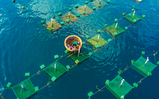 Vì sao Triển lãm thủy sản châu Á chuyển từ ĐBSCL về TP.HCM?