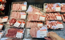 Giá heo hơi hôm nay 14.10.2025: Heo hơi và heo giống cùng giảm
