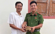 Rùa núi vàng quý hiếm 'lạc' vào nhà, người dân liền giao nộp kiểm lâm