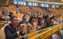 Việt Nam tái đắc cử thành viên Hội đồng Nhân quyền Liên Hiệp Quốc