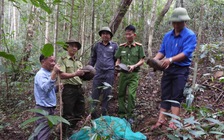 Thả động vật quý hiếm về Vườn quốc gia Kon Ka Kinh