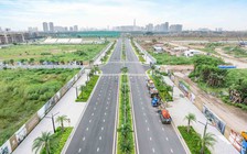 Sự nhất quán của chính sách