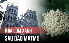 Cốm Hà Nội bị ảnh hưởng sau bão: Người bán, người mua đều tiếc nuối